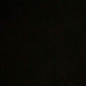 Meet your Posher, Alejandra